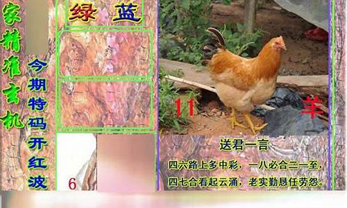 澳门管家婆全年正版资料大全