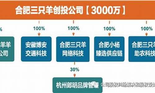 小杨哥被冻结股权：公众对企业管理透明度的关注