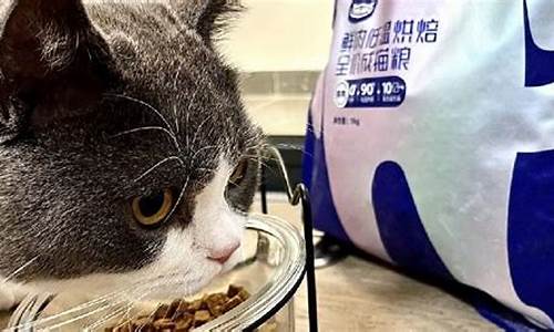 宠物猫咪猫粮直播(猫粮主播)